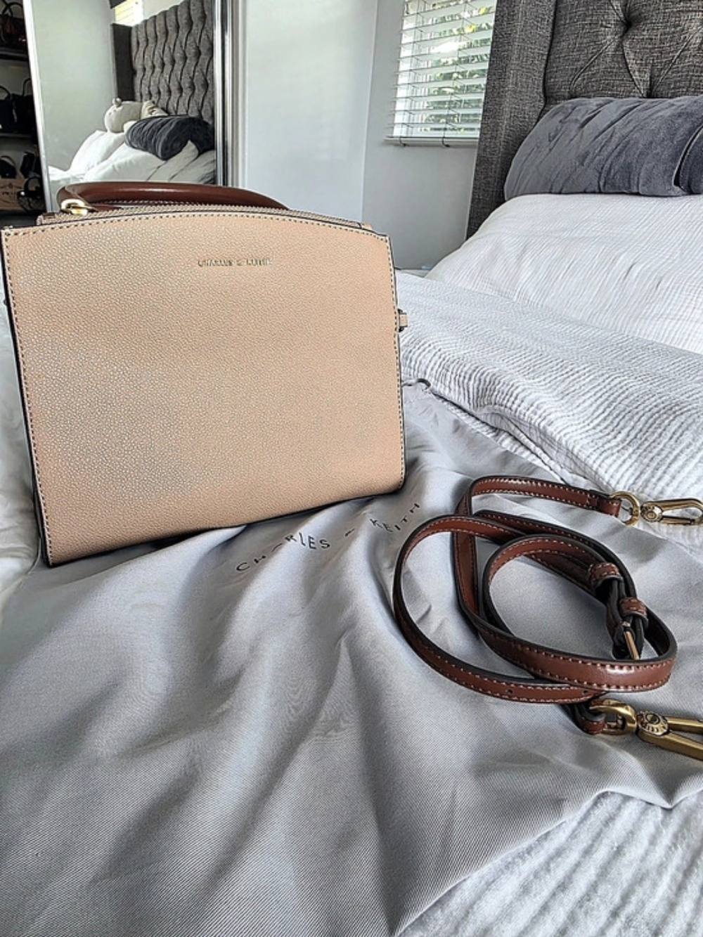 Charles & Keith Structured Crossbody Pink & Brown